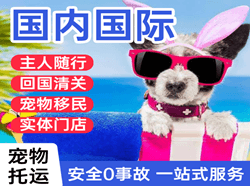 黄花空运公司国际宠物托运 【国